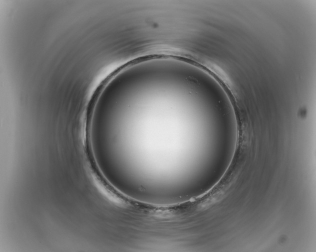 X0000093761128200710231247
