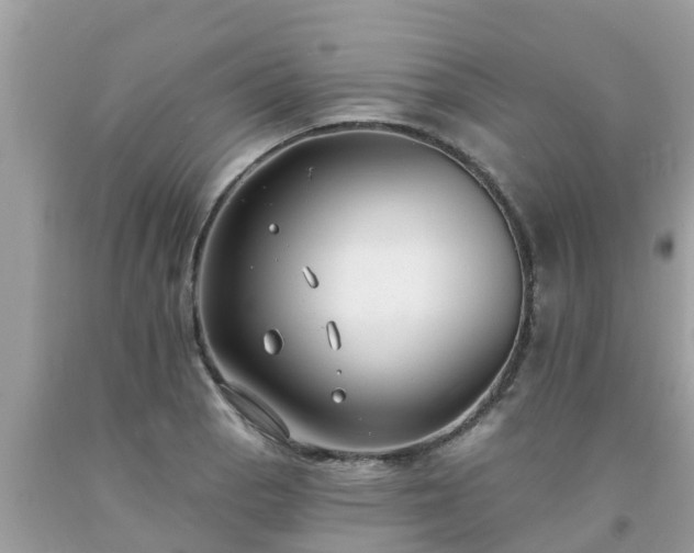 X0000093761129200710231247