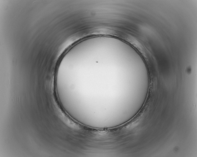 X0000093761130200710231247