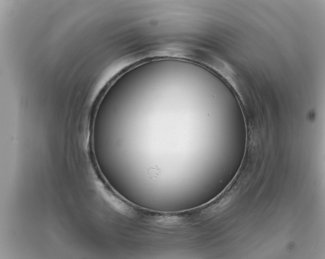 X0000093761131200710231247