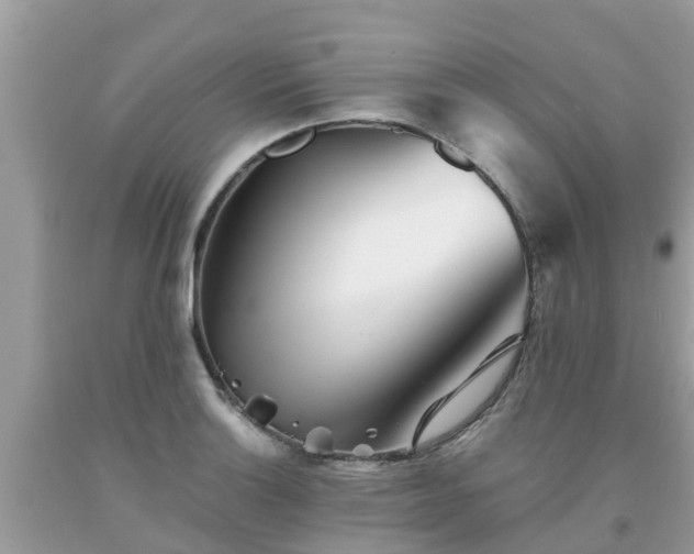 X0000093761132200710231247
