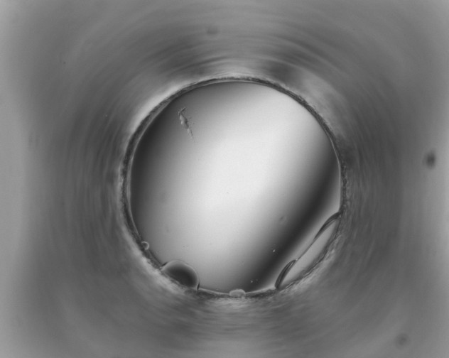 X0000093761134200710231247