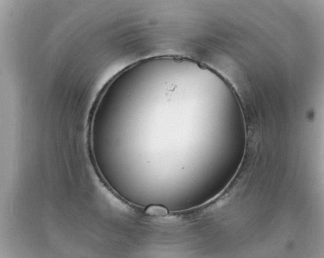 X0000093761135200710231247
