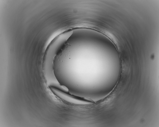 X0000093761138200710231247