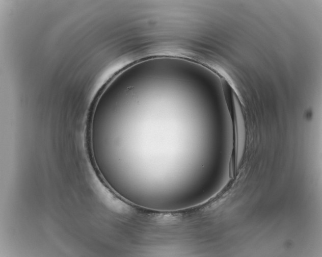 X0000093761139200710231247