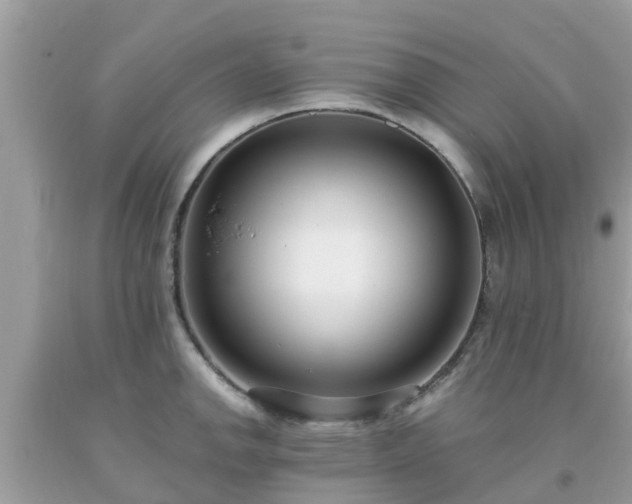 X0000093761142200710231247