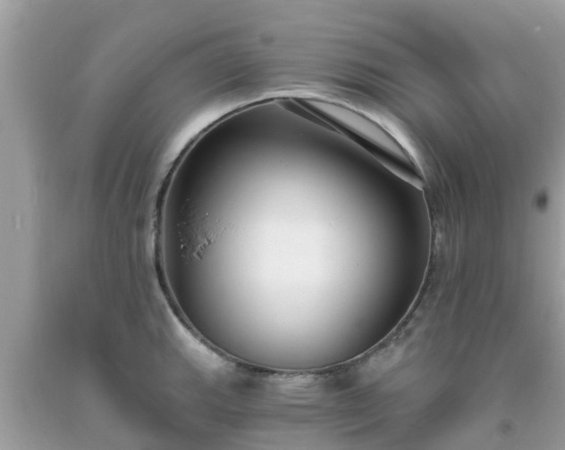 X0000093761143200710231247