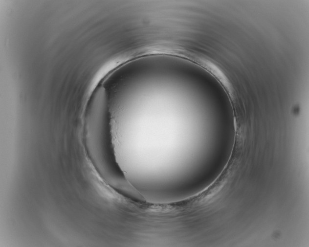 X0000093761146200710231247