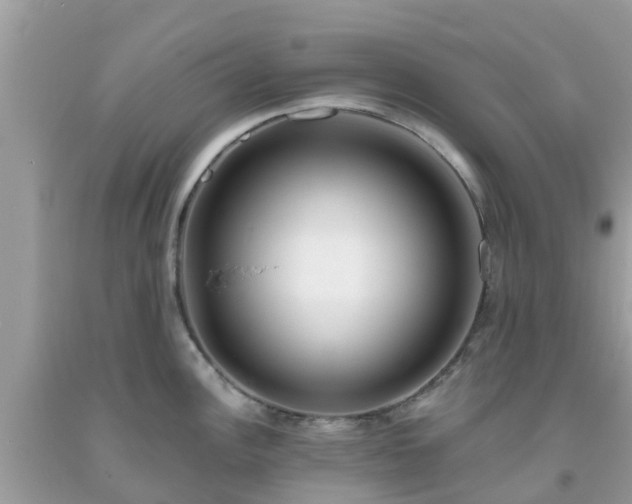 X0000093761148200710231247
