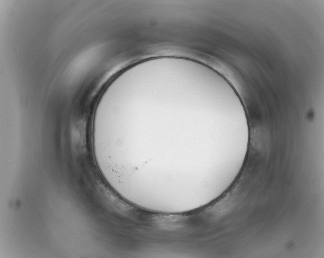 X0000093761150200710231247