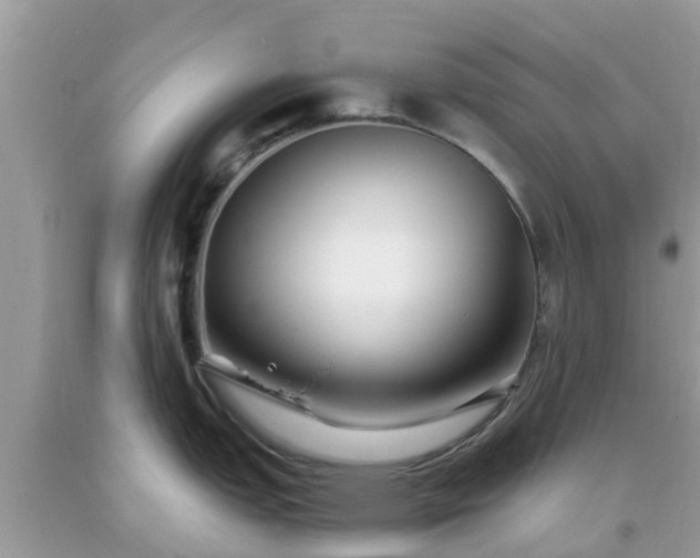 X0000093761151200710231247
