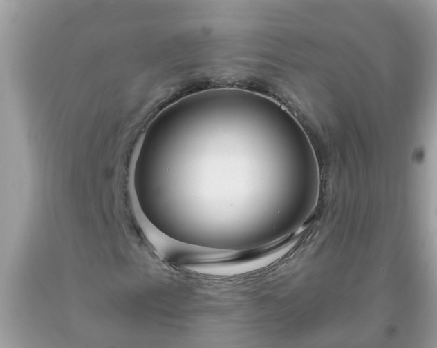 X0000093761153200710231246