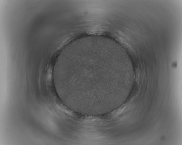X0000093761154200710231246