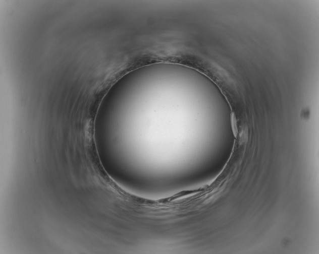 X0000093761156200710231246