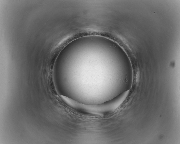 X0000093761157200710231246