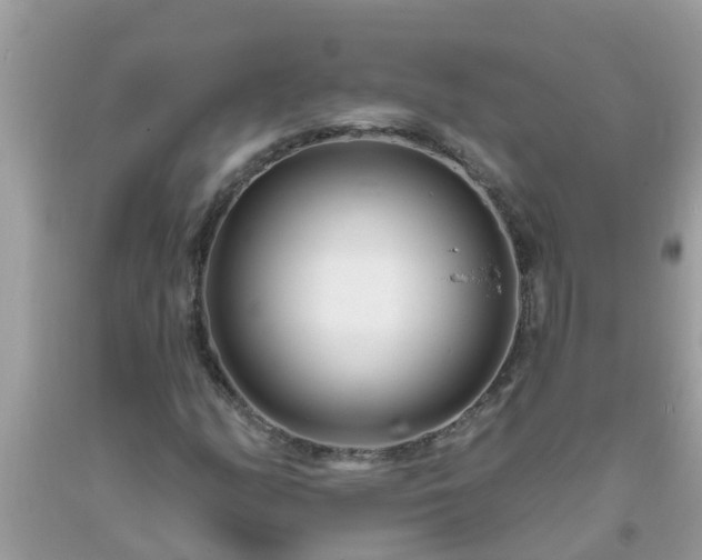 X0000093761158200710231246