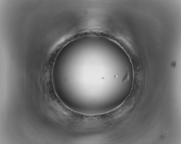 X0000093761159200710231246