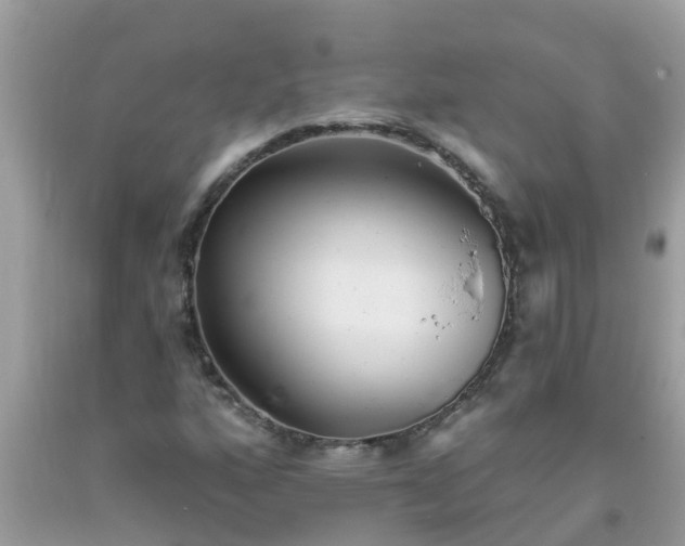 X0000093761160200710231246