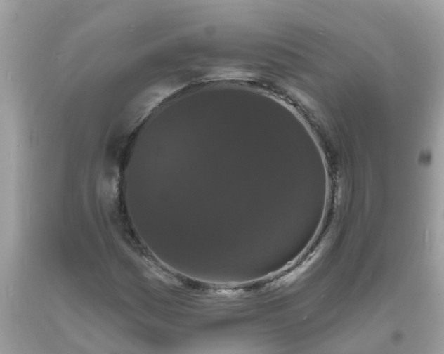 X0000093761161200710231246
