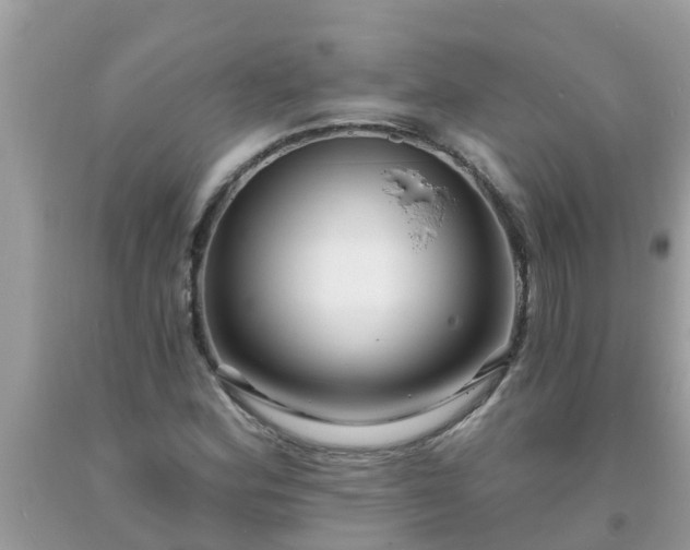 X0000093761164200710231246