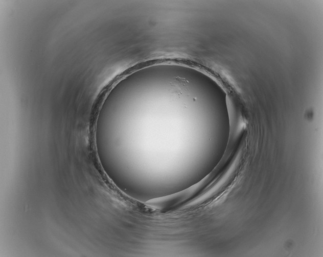 X0000093761165200710231246