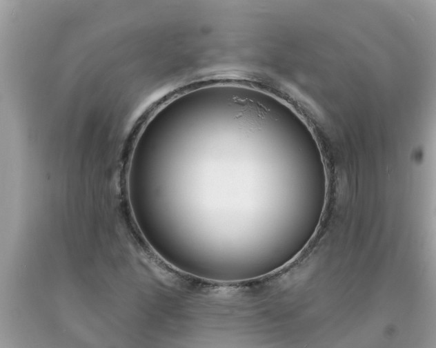 X0000093761166200710231246