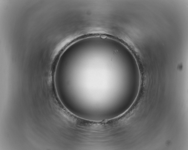 X0000093761167200710231246