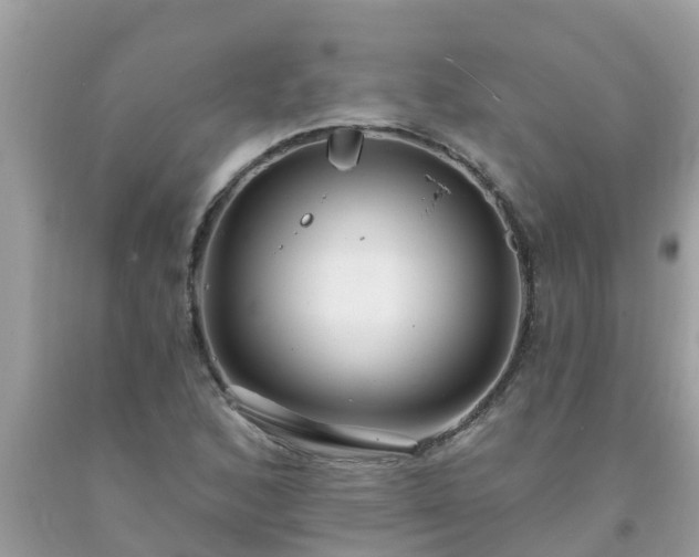 X0000093761168200710231246