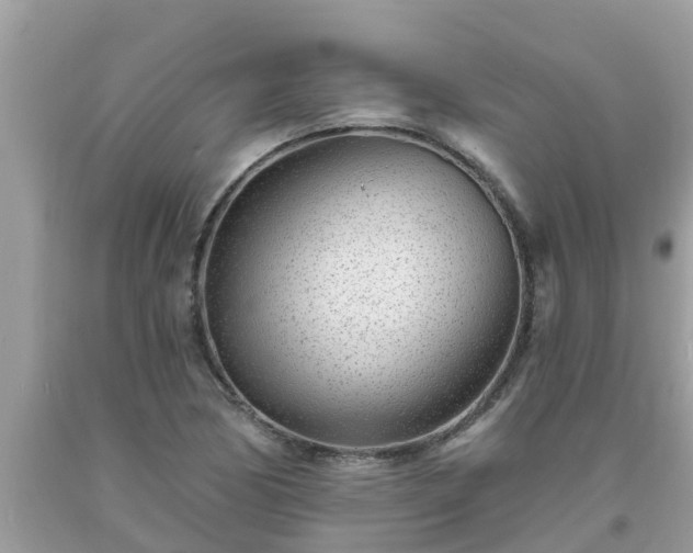 X0000093761170200710231246