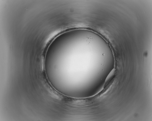 X0000093761171200710231246