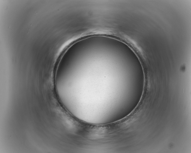 X0000093761174200710231246