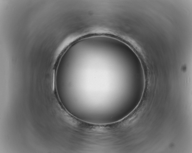 X0000093761175200710231246