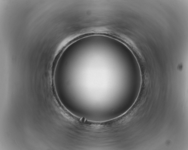 X0000093761176200710231246