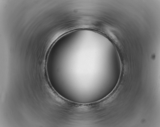 X0000093761178200710231246