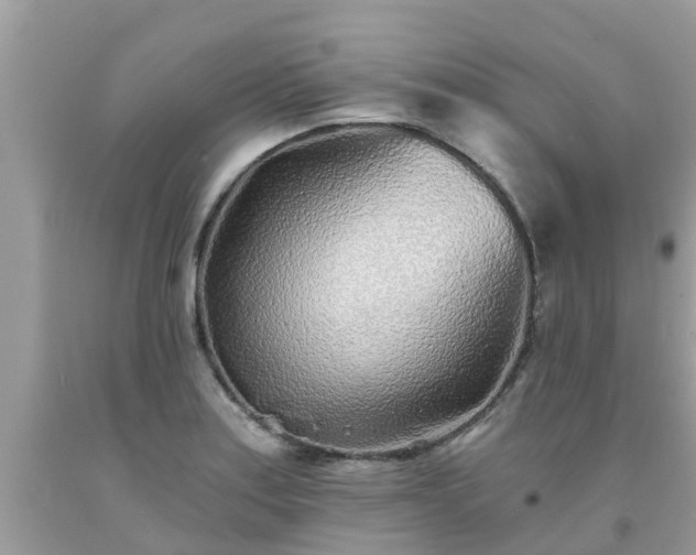 X0000093761179200710231246