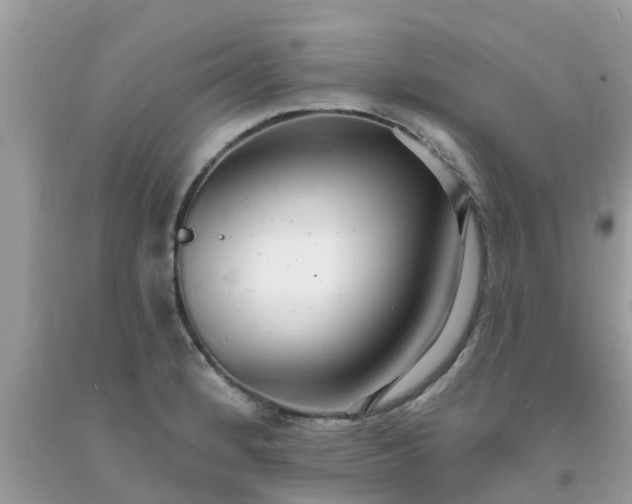X0000093761184200710231246