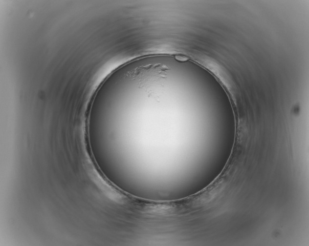 X0000093761187200710231246