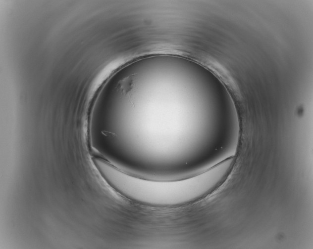 X0000093761188200710231246