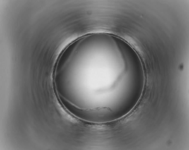 X0000093761189200710231246