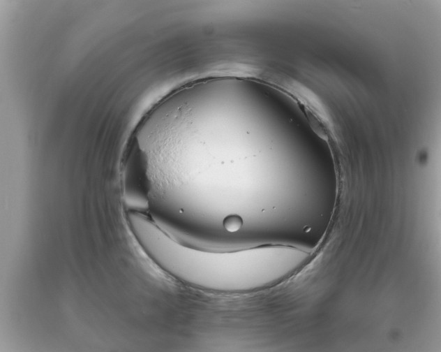 X0000093761192200710231246