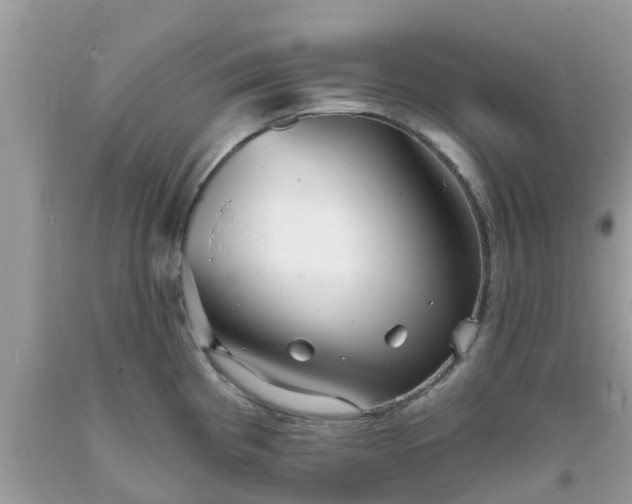 X0000093761193200710231246