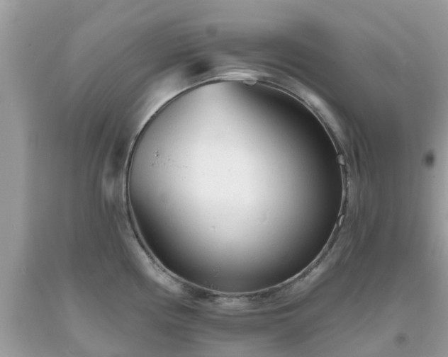 X0000093761194200710231246