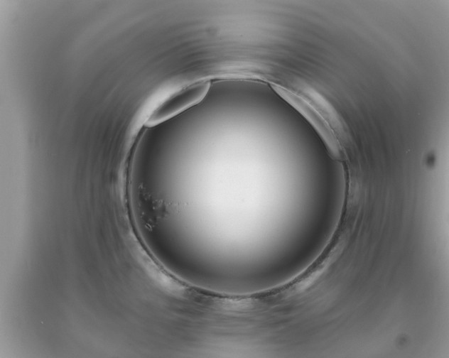 X0000093761196200710231246