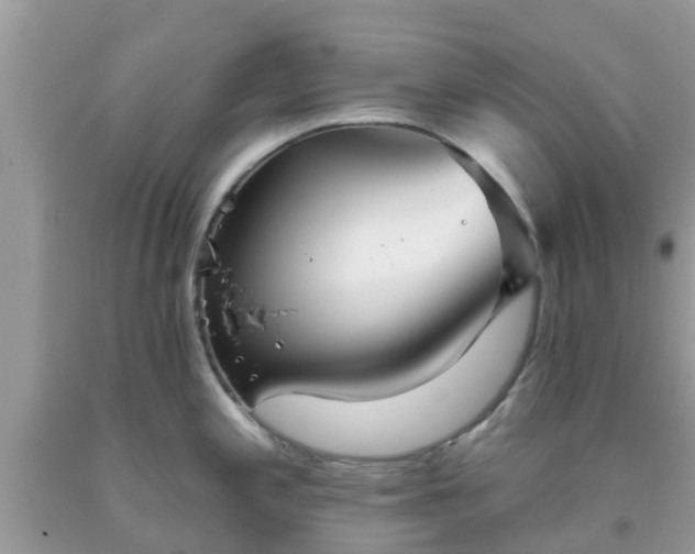 X0000093761197200710231246