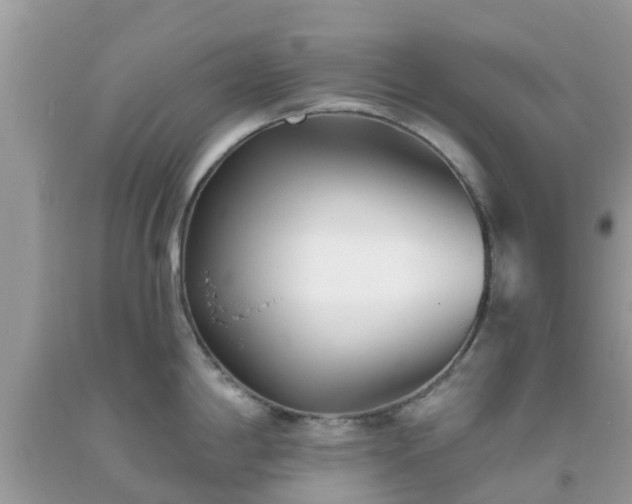 X0000093761198200710231246