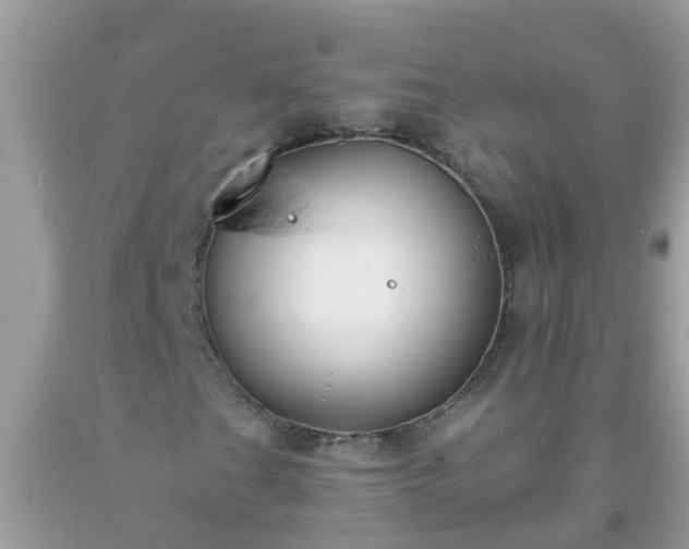 X0000093761201200710231245