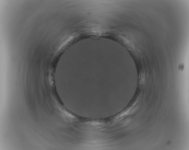 X0000093761202200710231245