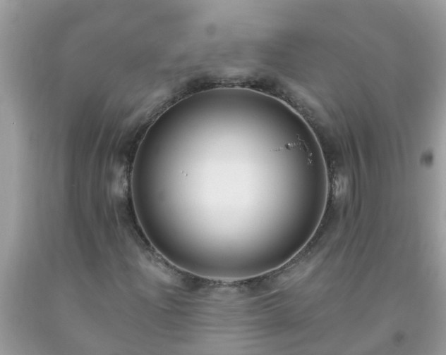 X0000093761204200710231245
