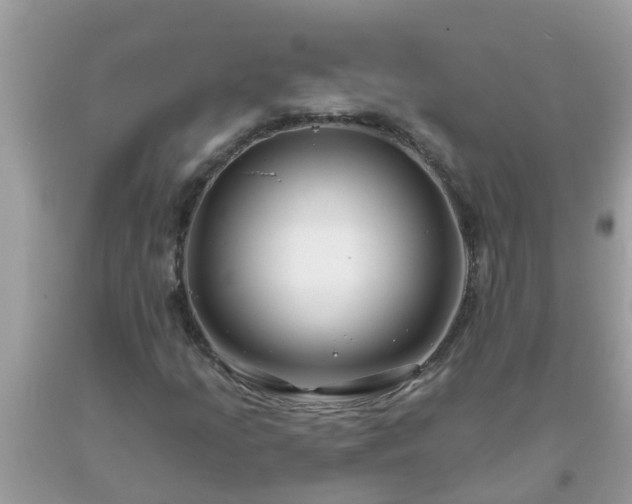 X0000093761205200710231245