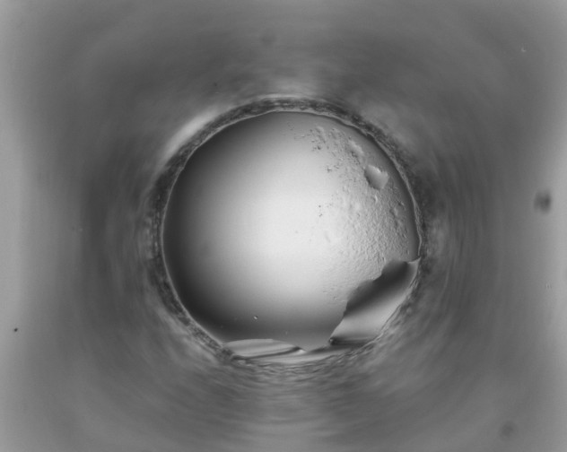 X0000093761208200710231245